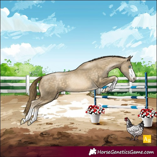 Horse Color:Buckskin Pearl