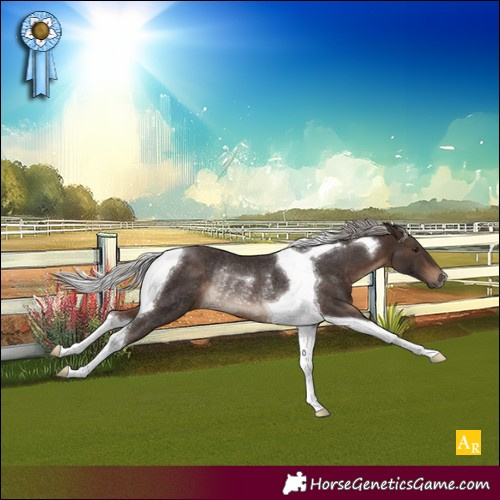 Horse Color:Silver Brown Tobiano Rabicano 