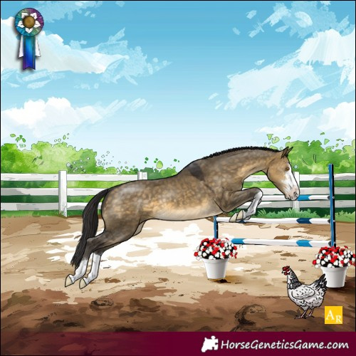 Horse Color:Buckskin Dun 