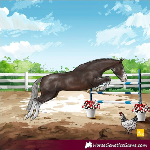 Horse Color:Silver Brown Sabino 