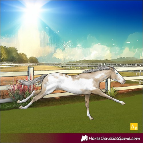 Horse Color:Silver Buckskin Pearl Sabino Frame Blanket Rabicano 