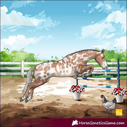 Horse Color:Silver Bay Pearl Sabino Blanket Rabicano