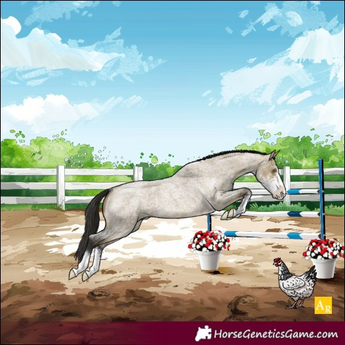 Horse Color:Buckskin Roan Dun Sabino