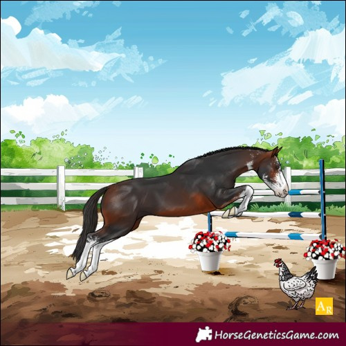 Horse Color:Bay Sabino
