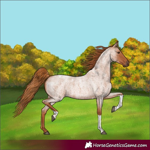 Horse Color:Unknown 