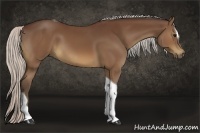 Horse Color:Silver Brown Sabino Tobiano
