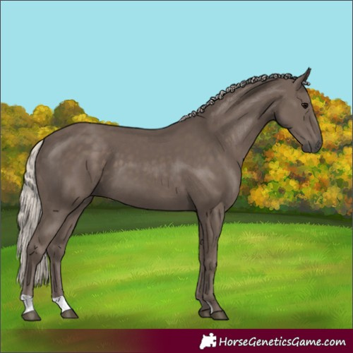 Horse Color:Silver Black 