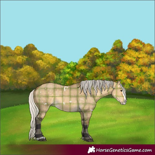 Horse Color:Plaid  White Spotted Silver Buckskin Dun Splash 