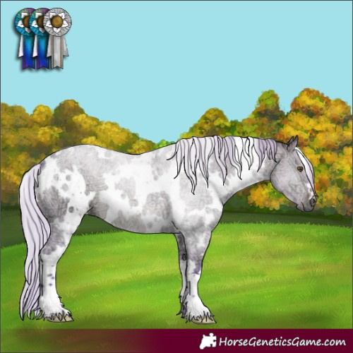 Horse Color:Watercolor White Spotted Silver Brown Ice Dun