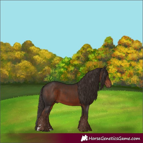 Horse Color:Liver Chestnut Rabicano 