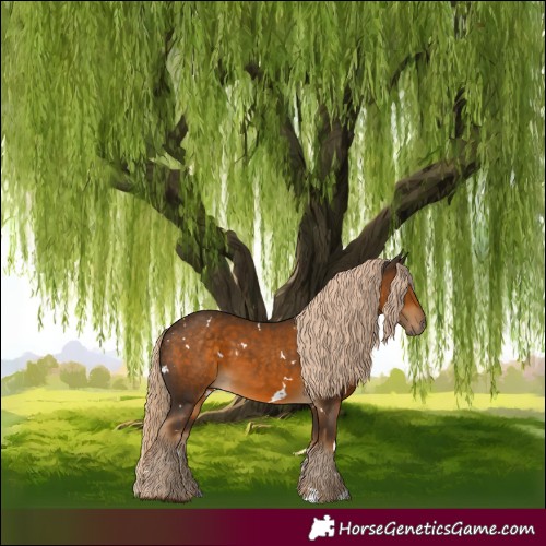 Horse Color:White Spotted Chocolate Palomino