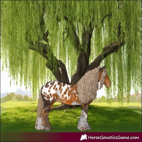 Horse Color:Chocolate Palomino Tobiano Blanket 