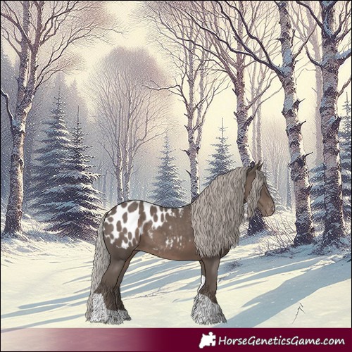 Horse Color:Silver Black Tobiano Blanket 