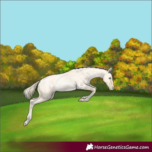 Horse Color:Palomino Roan Pearl Dun 