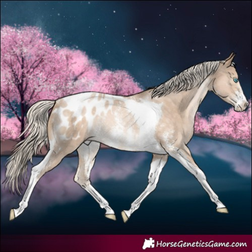 Horse Color:Chocolate Palomino Pearl Sabino Tobiano Blanket Rabicano