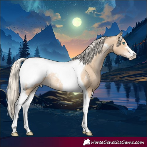 Horse Color:Palomino Pearl Tobiano Snowcap Rabicano