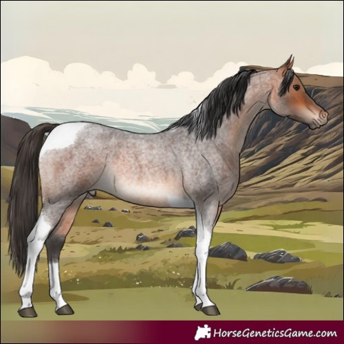 Horse Color:Bay Roan Tobiano Rabicano 