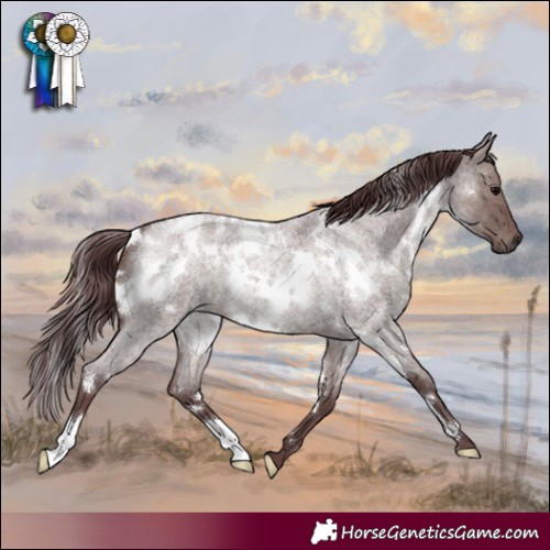 Horse Color:White Spotted Chocolate Grullo Roan 