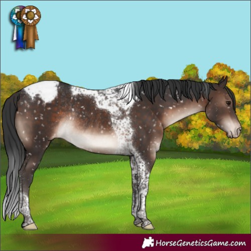 Horse Color:Brown Mushroom Tobiano Snowcap Rabicano