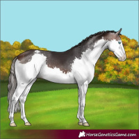 Horse Color:Brown Splash Varnish