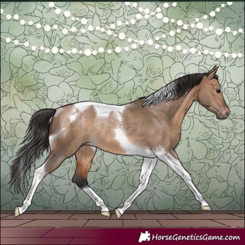 Horse Color:Brown Dun Tobiano Rabicano 