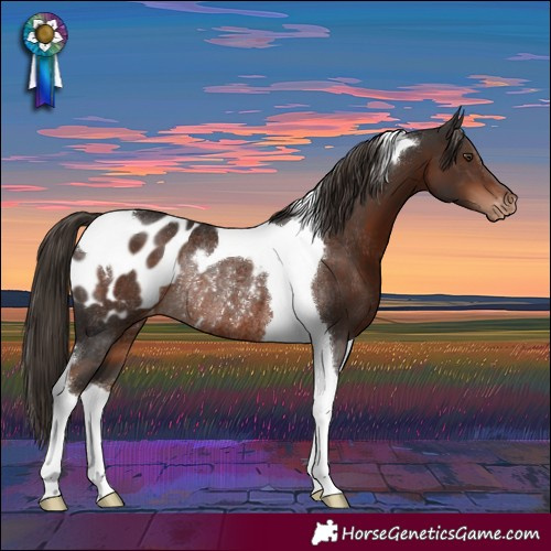 Horse Color:Liver Chestnut Tobiano Blanket Rabicano 