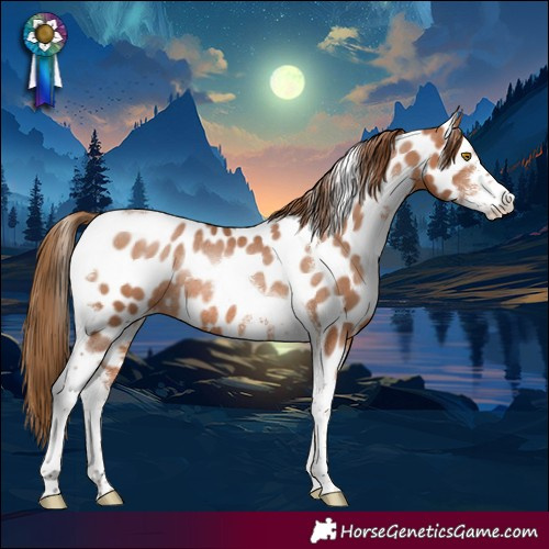 Horse Color:Brown Pearl Sabino Tobiano Leopard Rabicano 