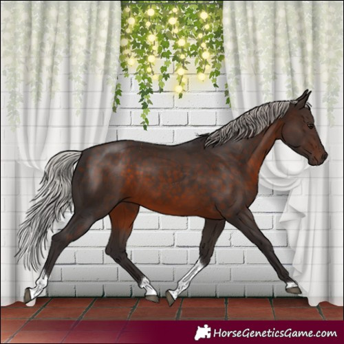 Horse Color:Silver Brown Tobiano 