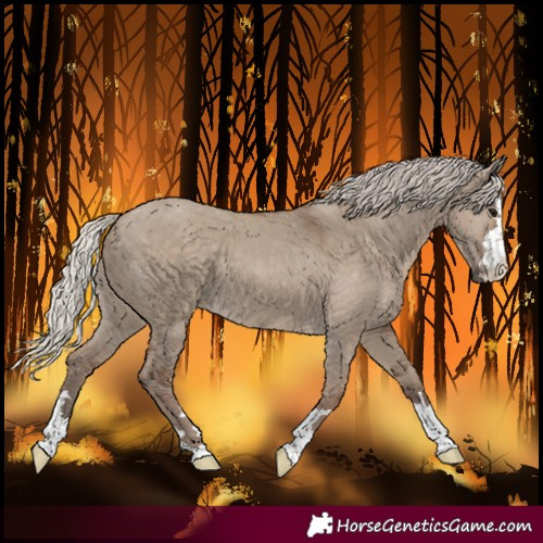 Horse Color:Silver Grullo 