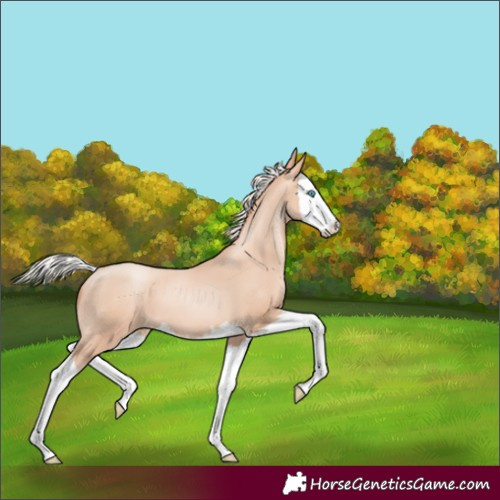 Horse Color:Silver Classic Champagne Pearl Splash 