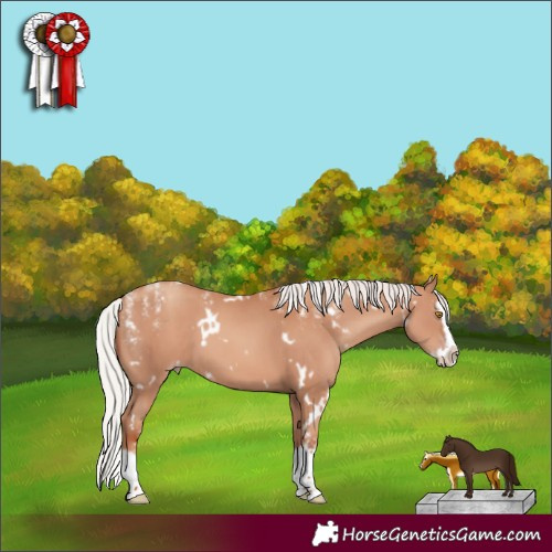 Horse Color:Powder White White Spotted Silver Classic Champagne Splash Frame