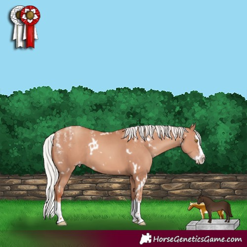 Horse Color:Powder White White Spotted Silver Classic Champagne Splash Frame 