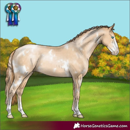 Horse Color:White Spotted Buckskin Pearl Sabino 