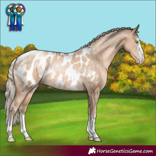 Horse Color:Chocolate Palomino Pearl Blanket 