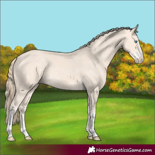 Horse Color:Perlino Sabino Tobiano 