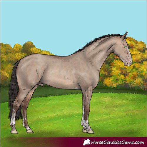 Horse Color:Sable Champagne Dun Sabino Tobiano Rabicano 