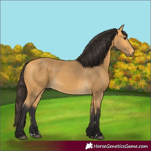 Horse Color:Unknown 
