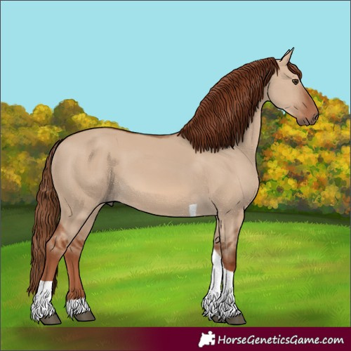 Horse Color:Unknown 