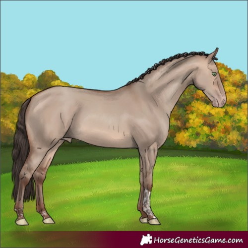 Horse Color:Sable Champagne Dun Tobiano Rabicano
