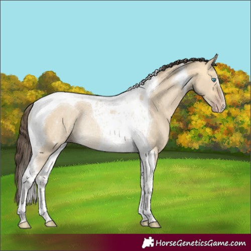 Horse Color:Sable Cream Champagne Dun Tobiano Rabicano 