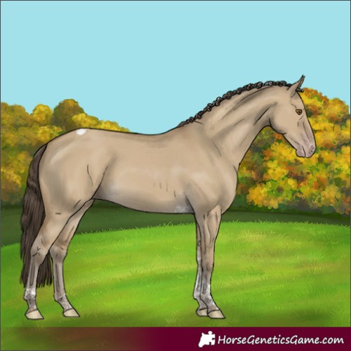 Horse Color:Classic Cream Champagne Dun Tobiano Rabicano 
