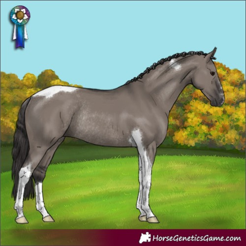 Horse Color:Smoky Grullo Tobiano Rabicano