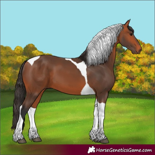 Horse Color:Unknown 