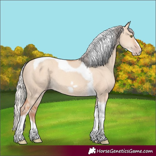 Horse Color:Silver Amber Champagne Dun Tobiano Frame Rabicano