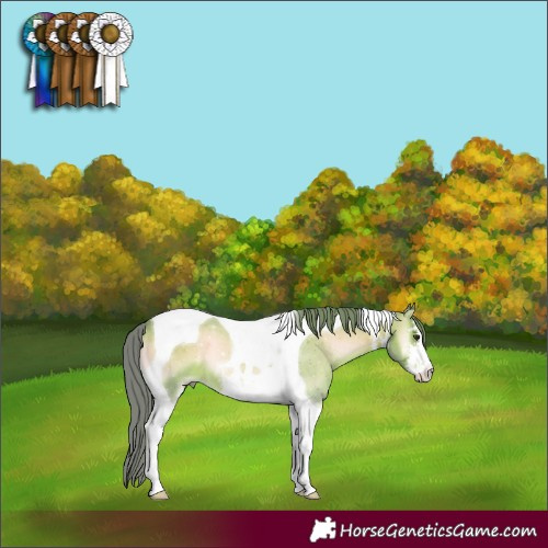 Horse Color:Watercolor White Spotted Red Onyx Tobiano 