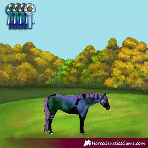 Horse Color:ERROR: UNKNOWN ANOMALY