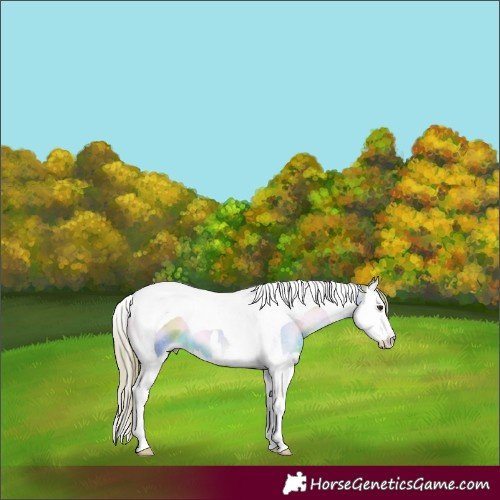 Horse Color:Watercolor White Spotted Red Onyx Splash Tobiano 