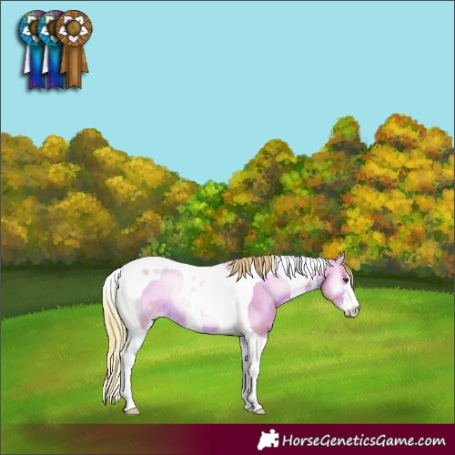 Horse Color:Watercolor White Spotted Red Onyx Tobiano