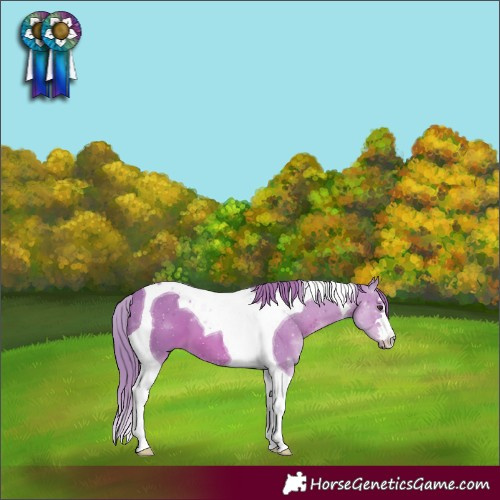 Horse Color:Watercolor Chestnut Tobiano