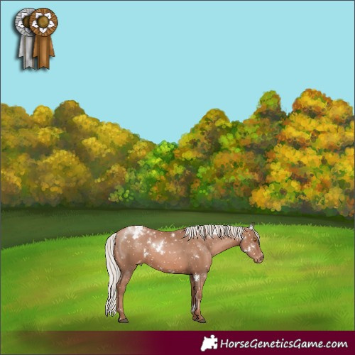 Horse Color:White Spotted Silver Black Pearl Snowflake Varnish